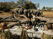 Guests share brunch with the elephants at the famous woodpile hide at Savuti Camp in the Linyanti, Botswana.