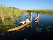 Guests relax in a mokoro as they are poled through the reeds, enjoying a water-level view of the unique environment of the Okavango Delta, Botswana.