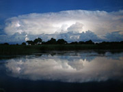 Reflections of clouds on water in the Vumbura Reserve, Okavango Delta, Botswana.