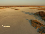 An aerial view of a small plane flying over the stark white expanse of the Makgadikgadi Pans, Botswana.