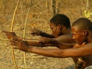 San bushman hunters in traditional garb demonstrate their skill with a bow and arrow in the Kalahari desert, Botswana.