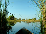 The view from a mokoro in the Okavango Delta, Botswana.